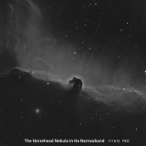 Horsehead Nebula in Ha